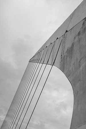 DSCF6525