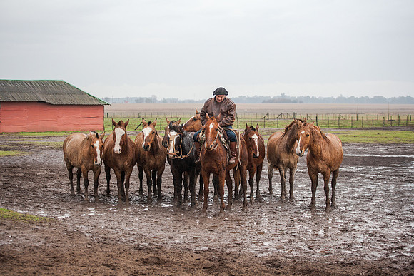 Gauchos, Estancia Santa Susana