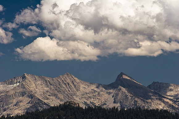 Sequoia Nat. Park