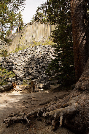 Devil's Postpile-2087