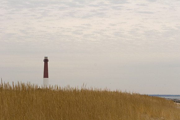 Barnegat Grass