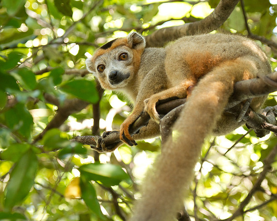 Madagascar-0907