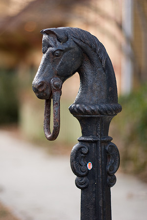 Horse Hitch