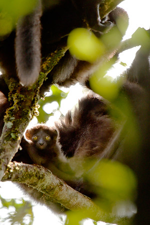Madagascar-0461