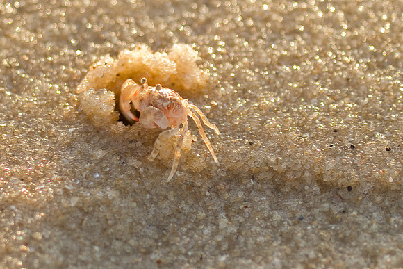 Madagascar-0724