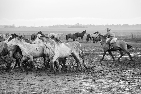 Gauchos, Estancia Santa Susana