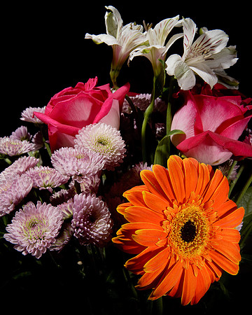 Flowers-1877
