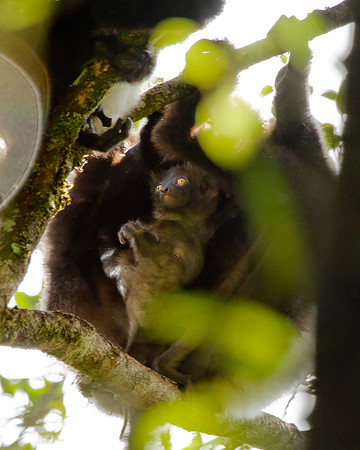 Madagascar-0478