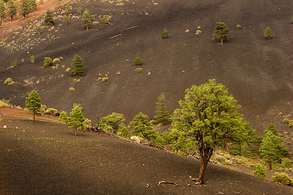 Sunset Crater-8614