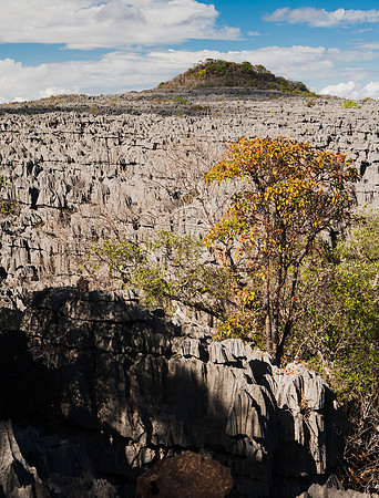 _ABR8799-2
