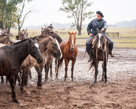 Gauchos, Estancia Santa Susana