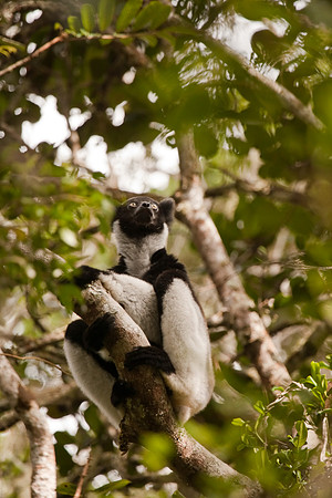 Madagascar-8319