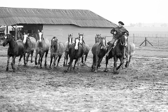 Gauchos, Estancia Santa Susana