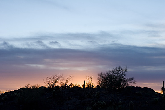 Pink Fire (Picacho Peak, AZ)