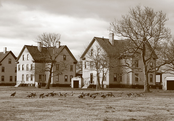Officer's Row
