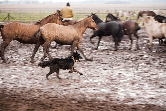Gauchos, Estancia Santa Susana